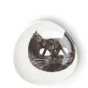 Black Cat 5-1/2" Plate