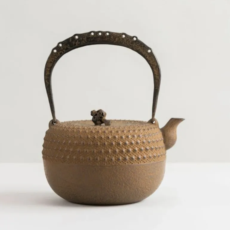 Iwachu Kettle Tetsubin Gravel Turtleshell Brown