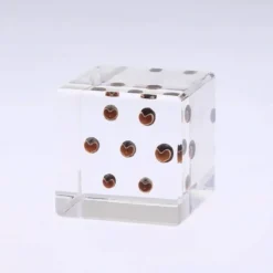 Sola Cube Balloon Plant