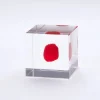 Sola Cube Huayruro Seed