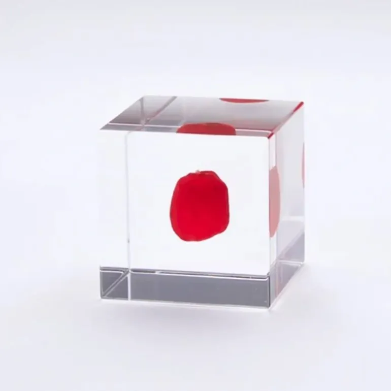 Sola Cube Huayruro Seed